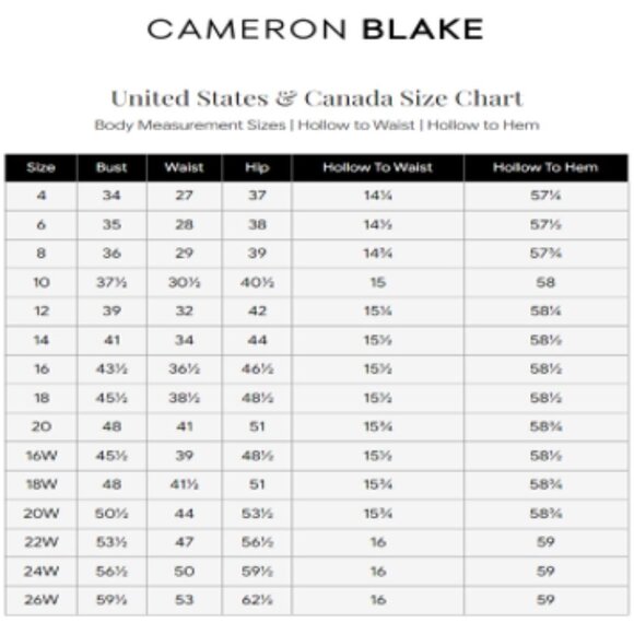 NWT Cameron Blake 221691 Crepe Prom Dress Blue Size 20W - Picture 6 of 7